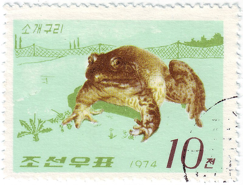 Toad on North Korean 1974 postage stamp